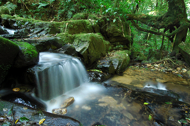 Rio Mãe Catira (PR) - Zig Koch / Banco de Imagens ANA