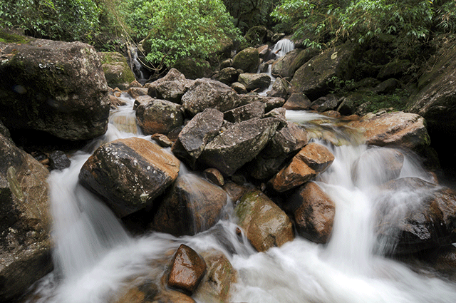 Rio na serra do Mar (PR) - Zig Koch / Banco de Imagens ANA