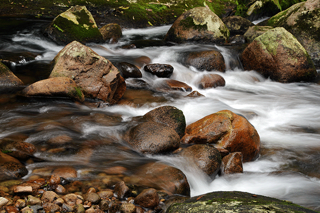 Rio em Antonina (PR) - Zig Koch / Banco de Imagens ANA