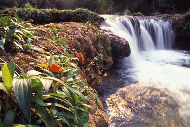 Rio do Peixe (MS) - Zig Koch / Banco de Imagens ANA