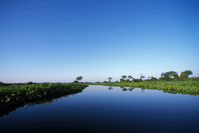 Fazenda Acurizal (MS) - Zig Koch / Banco de Imagens ANA