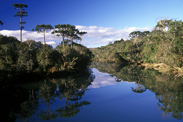 Rio São Jorge (PR) - Zig Koch / Banco de Imagens ANA