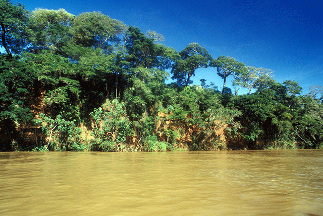 Parque Nacional de Ilha Grande (PR) - Zig Koch / Banco de Imagens ANA