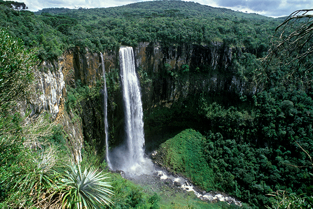 Cachoeira São Francisco (PR) - Zig Koch / Banco de Imagens ANA