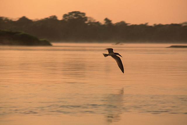 Rio Araguaia (GO) - Rui Faquini/Banco de Imagens ANA