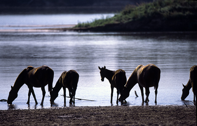 Rio Araguaia (GO) - Rui Faquini/Banco de Imagens ANA