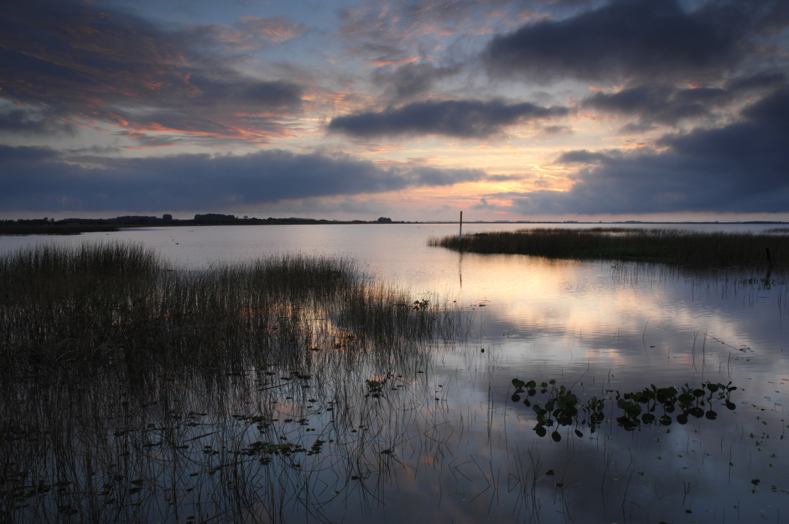 ATSU_049 D-RS0005- Amanhecer na Lagoa Malvas - Osório - RS - Zig Koch copiar.jpg