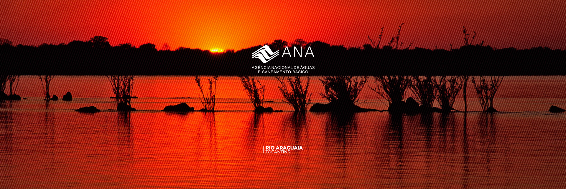 banner_principal_site_ana__tocantins.jpg