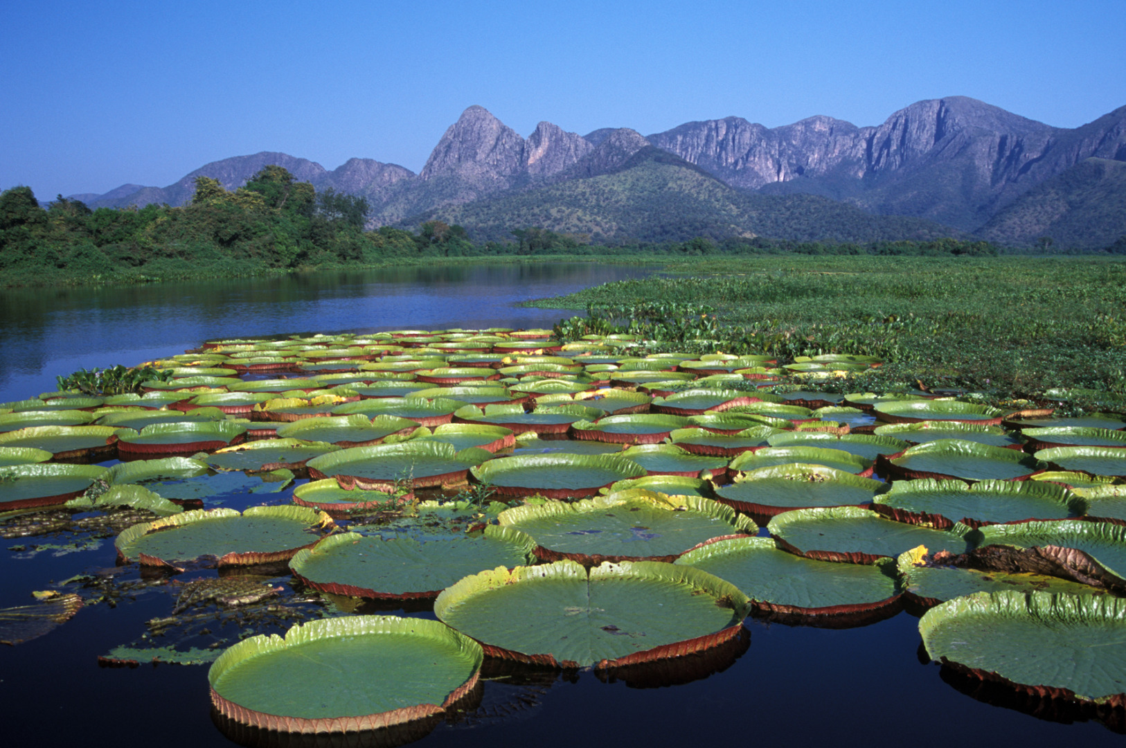 PARG_146 PA4924- Serra do Amolar - MS - Zig Koch copiar.jpg