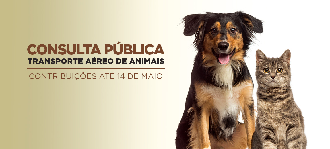 banner consulta pets.jpg