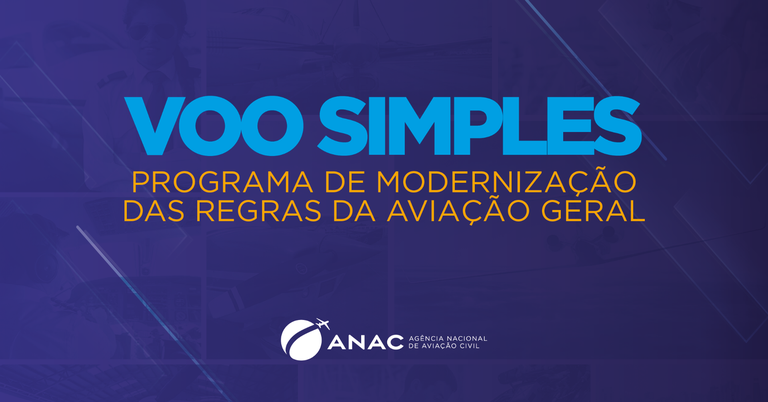 Voo Simples ANAC.png