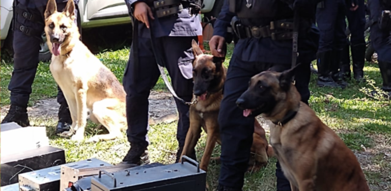 Cães farejadores e equipamentos apreendidos