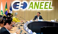 Diretoria da ANEEL se reúne com dirigentes das agências estaduais