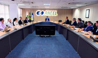 ANEEL reúne sete distribuidoras de energia para avaliar planos de contingência para o verão de 2025