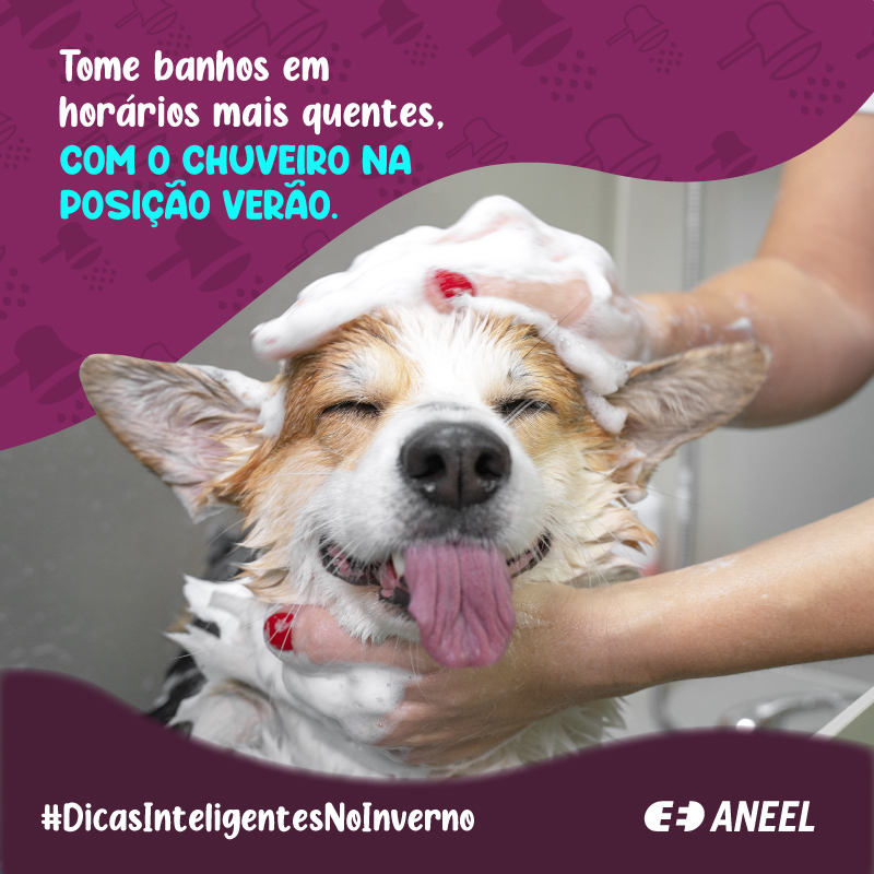 2022-01-28-card-dicas-de-inverno-chuveiro-eletrico.jpg