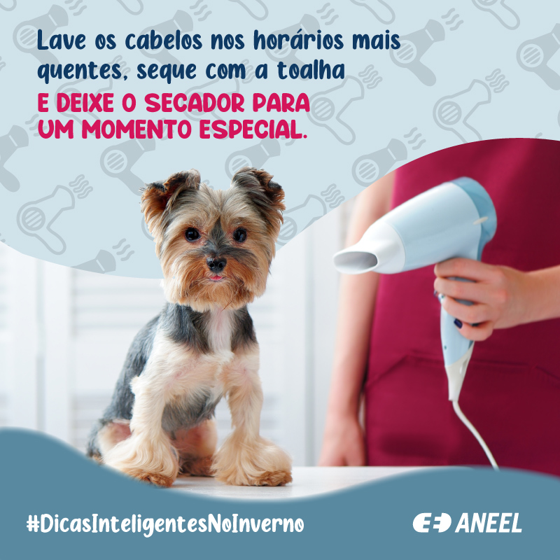 2022-01-28-card-dicas-de-inverno-secador-de-cabelo.jpg