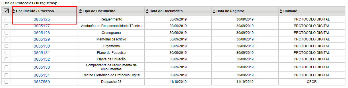 DOCUMENTO PROCESSO