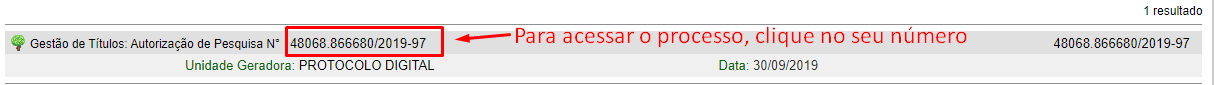 Existindo o processo para o número informado, será apresentado abaixo dos campos da Pesquisa Pública, o resultado da busca conforme tela abaixo. Para acessar o processo, clique em seu número