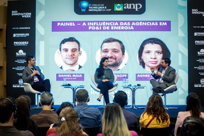 Painel: A influência das Agências em PD&I de Energia