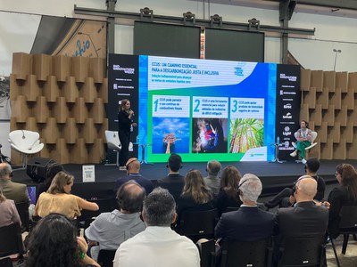 Palestra: O papel da inovação no estabelecimento dos hubs de captura e armazenamento de CO2 -Maíza Goulart (Petrobras)