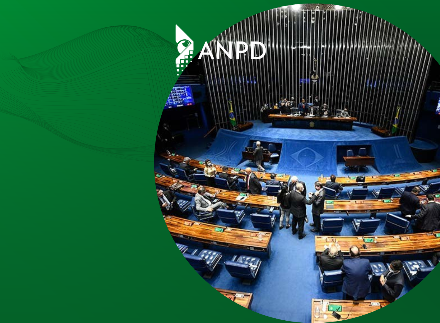 Senado se adapta à Lei Geral de Proteção de Dados — Senado Notícias