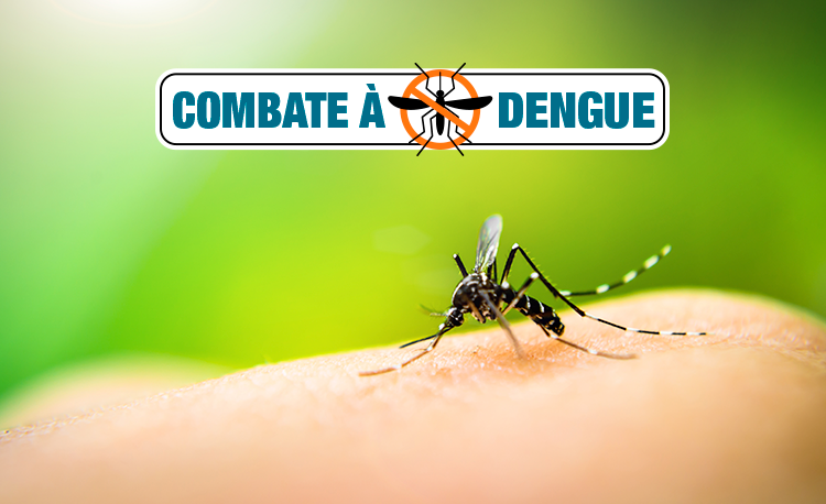 Aprenda A Combater O Mosquito E A Identificar Os Sinais E Sintomas