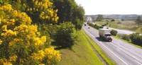 ANTT registra redução de acidentes fatais em rodovias concedidas no feriado Corpus Christi