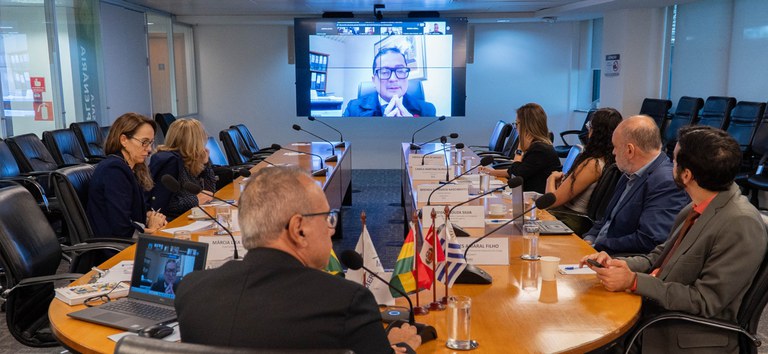 Reunião extraordinária do Grupo de Trabalho do SGT-5 discute flexibilizações no transporte internacional