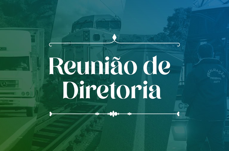 Reunião Diretoria Novo_Portal gov.br.jpg