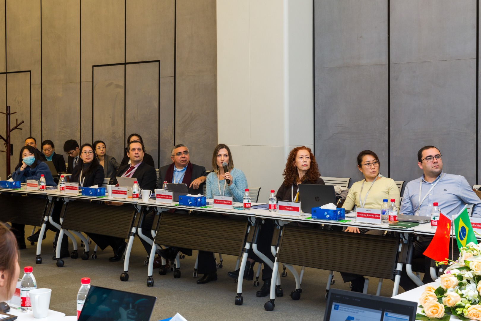 1.5. Inspetores brasileiros na reunião de abertura.