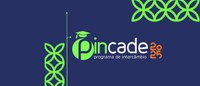 Selection for PinCade 2025 is available