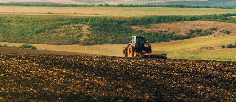 Banner_Gov.br._Sinagro-e-Bunge.png