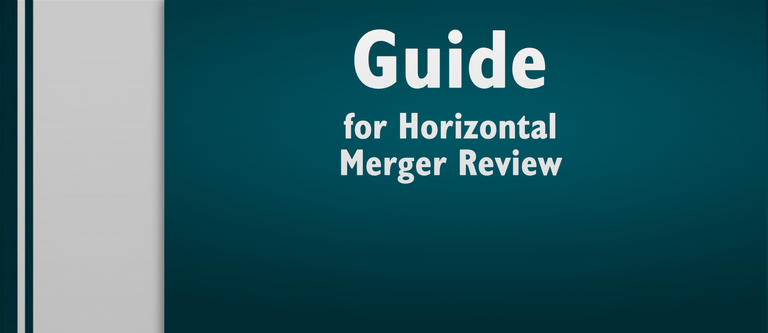 Banner_Gov.br_Guide-for-horizontal-Meger-Review.png