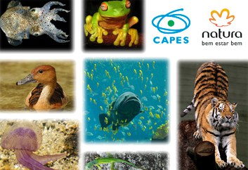 9112015-banner-destaque-premio-capes-natura.jpg