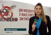 Capes vai financiar pesquisas de combate ao Zika