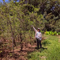 Pesquisa sobre fruto amazônico é publicada em periódico no Canadá