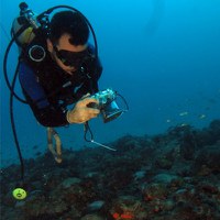 Science publica estudos sobre óleo nas praias brasileiras