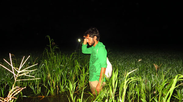 30042018 trabalho de campo na Amazonia FOTO 3