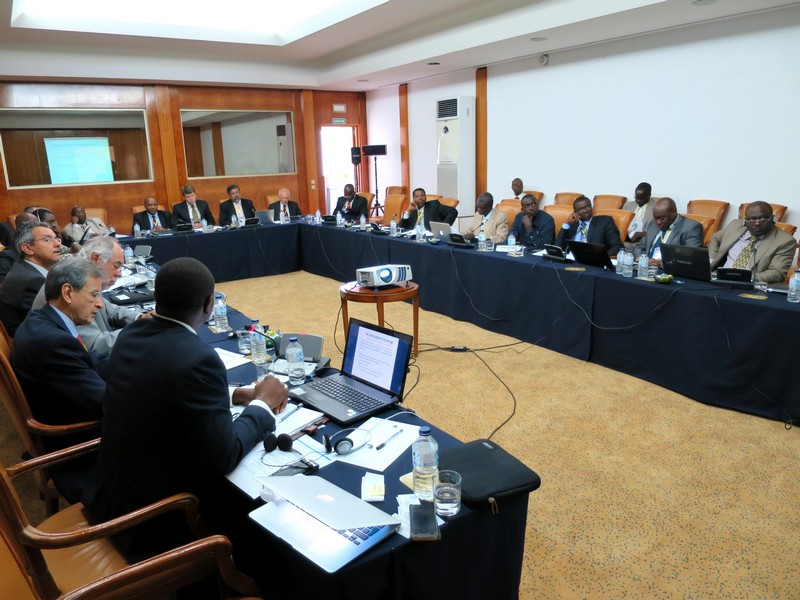 Delegação brasileira participou de reunião preparatória com autoridades africanas (Foto: Luis Grochocki - Capes)