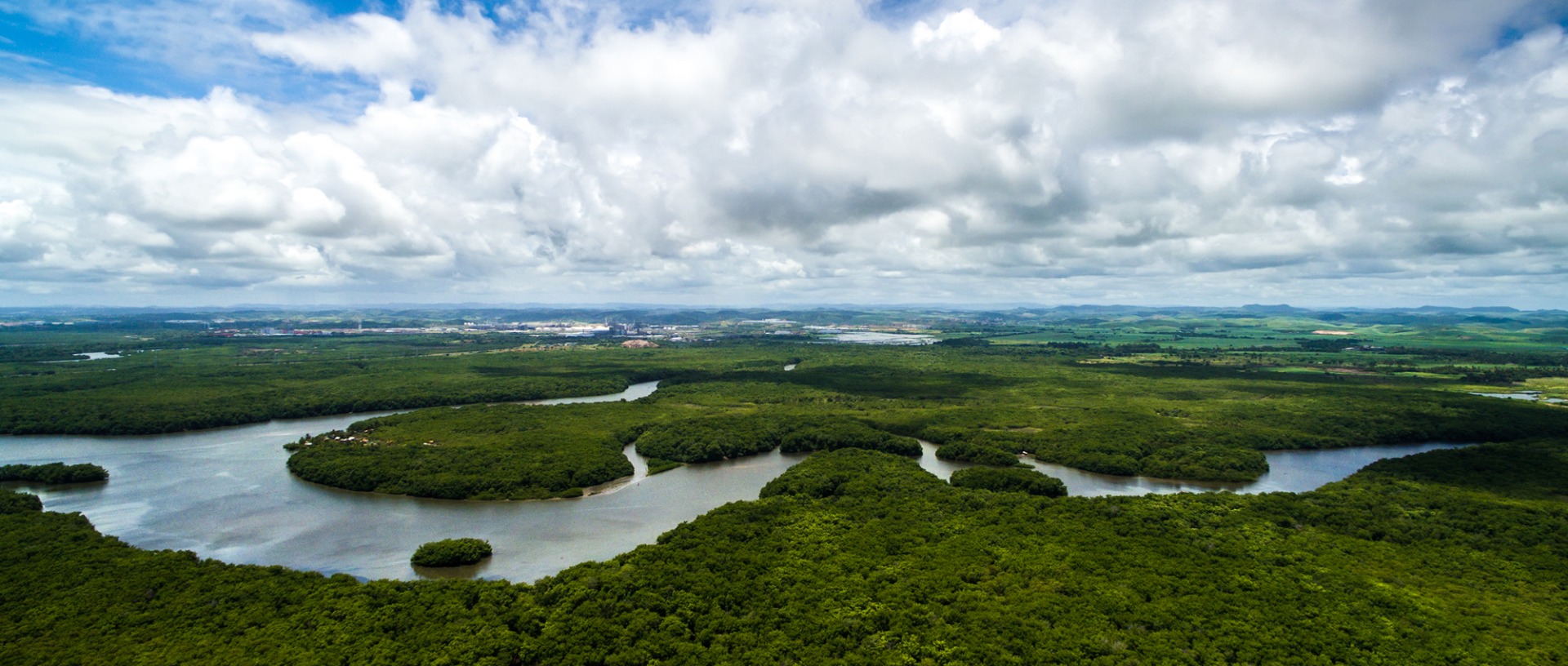 DIA DA AMAZÔNIA