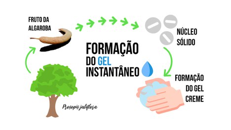 Novo produto cosmético, sustentável, feito à base de algaroba, sem conservantes, e não testado em animais (Foto: Arquivo pessoal)