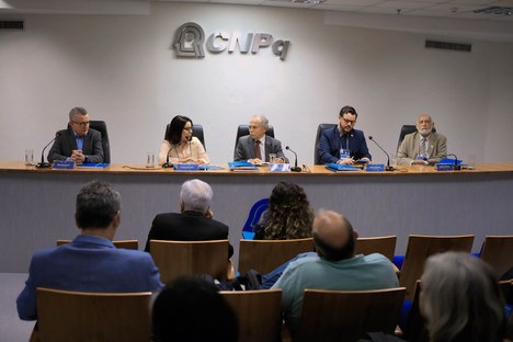 Imagem: Denise Pires de Carvalho participa da mesa de abertura (Naiara Demarco - CGCOM/CAPES)