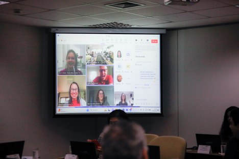 Imagem: Alguns conselheiros participaram por videoconferência (Ester Cruz - CGCOM/CAPES)