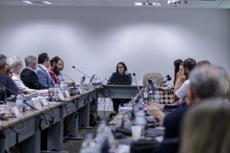 Imagem: CAPES participa de reunião do FNE (Ester Cruz - CGCOM/CAPES)