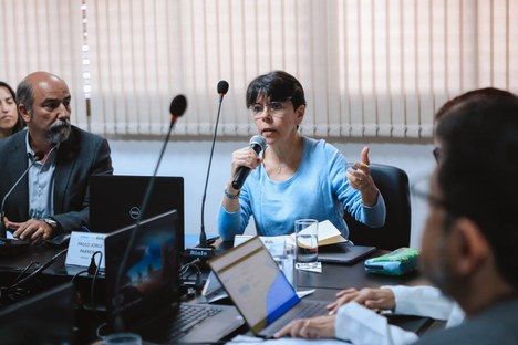 Imagem: Mercedes Bustamante, presidente da CAPES, na reunião do CTC-ES (Naiara Demarco - CGCOM/CAPES)