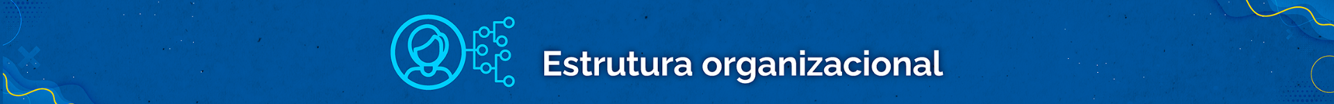 card_d-estrutura-organizacional.png