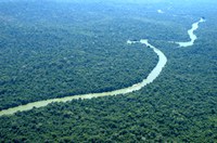 Desmatamento na Amazônia é o segundo menor em 25 anos