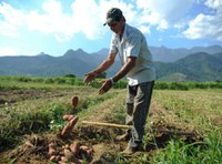 Operações de crédito rural: vencimento das parcelas é prorrogado devido à pandemia de Covid-19