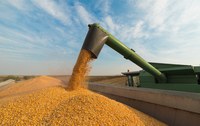 Valor da Produção Agropecuária de 2020 alcança a marca de R$ 885 milhões