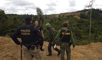 Operação Verde Brasil 2: ações da missão são prorrogadas até novembro